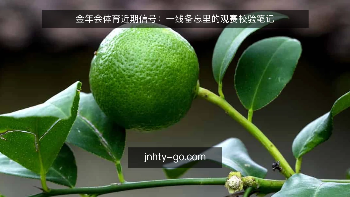 金年会体育近期信号：一线备忘里的观赛校验笔记